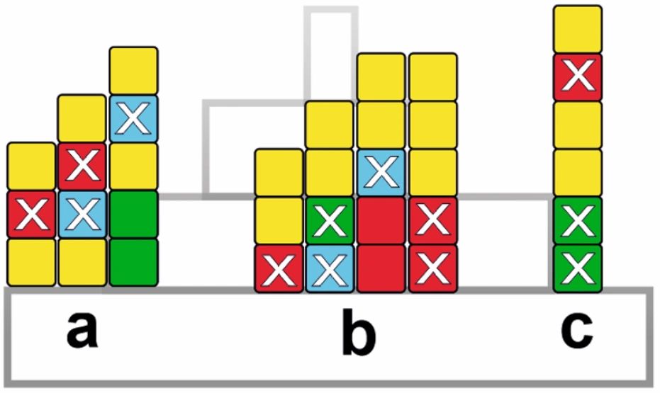 Conociendo el juego Xima